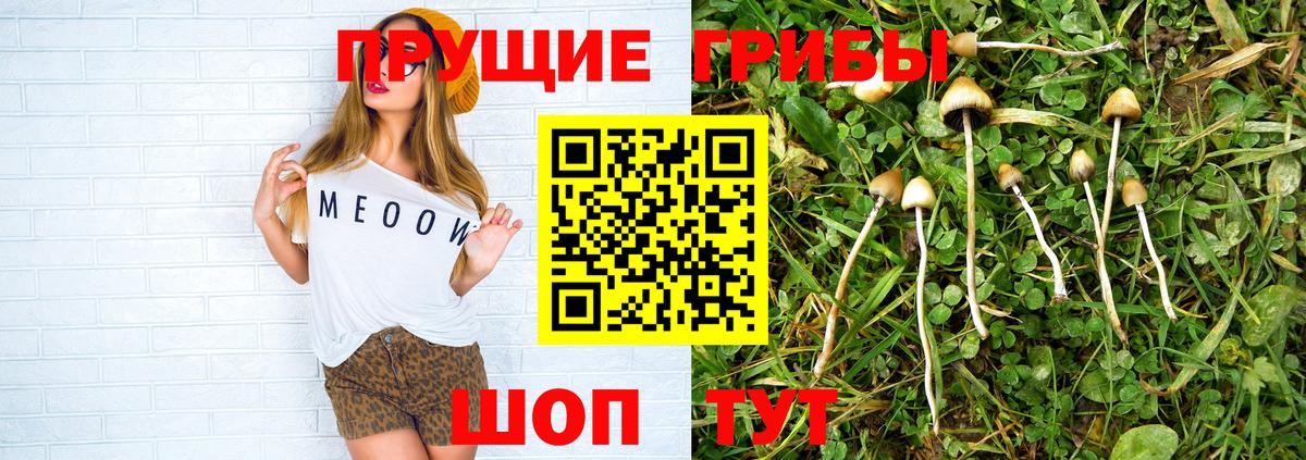 Карталы  Галлюциногенные грибы прущие грибы  Вход с VPN 