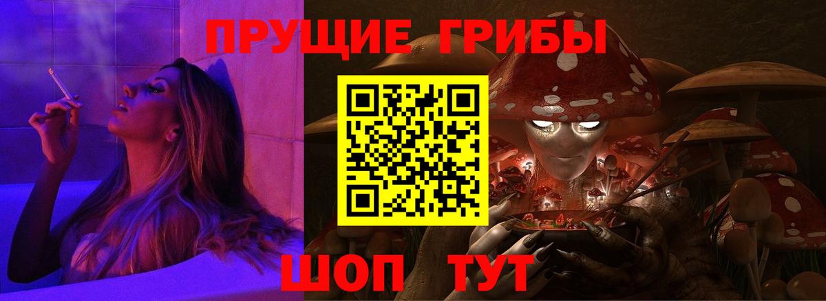 Псилоцибиновые грибы Cubensis Карталы
